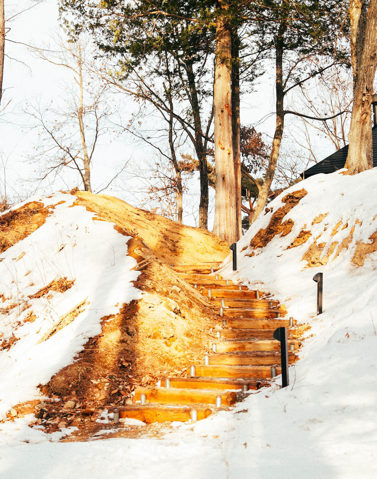 サウナへの階段